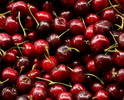 中国水果贸易数据,水果贸易数据,贸易数据 中国水果贸易数据,水果贸易数据,贸易数据