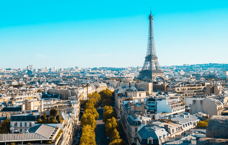 法国市场(1) 法国市场(1)